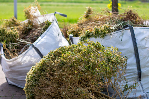 Best Estate Cleanout Services  in Cactus Flats, AZ